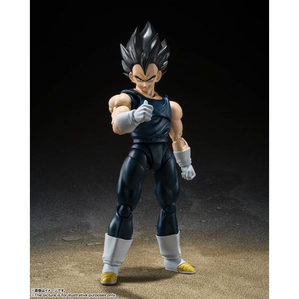 S.H.FIGUARTS VEGETA SUPER HERO