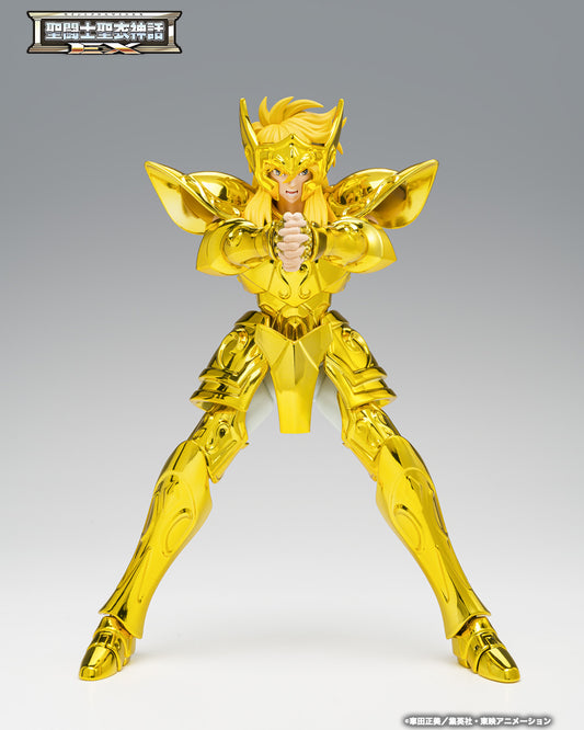 AQUARIUS HYOGA–INHERITOR OF THE GOLD CLOTH-