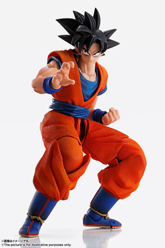 Dragon Ball Z Imagination Works -Son Goku-