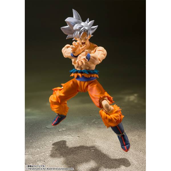 SON GOKU ULTRA INSTINCT